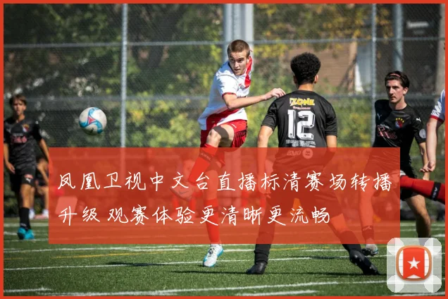 凤凰卫视中文台直播标清赛场转播升级 观赛体验更清晰更流畅