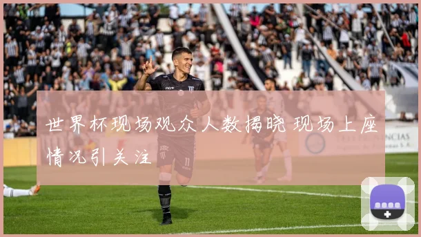 世界杯现场观众人数揭晓 现场上座情况引关注