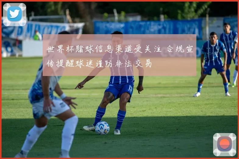 世界杯赌球信息渠道受关注 合规宣传提醒球迷谨防非法交易